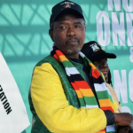 ZIMBABWE’S NEXT PRESIDENT MAY BE CHOSEN IN A BOARDROOM NOT A POLLING STATION